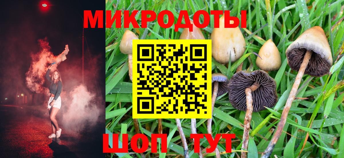 Свободный  Галлюциногенные грибы MAGIC MUSHROOMS  сколько стоит  Вход с VPN 