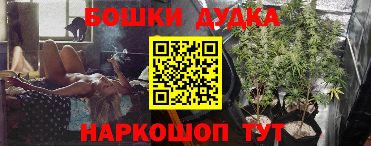 Канабис сатива Свободный